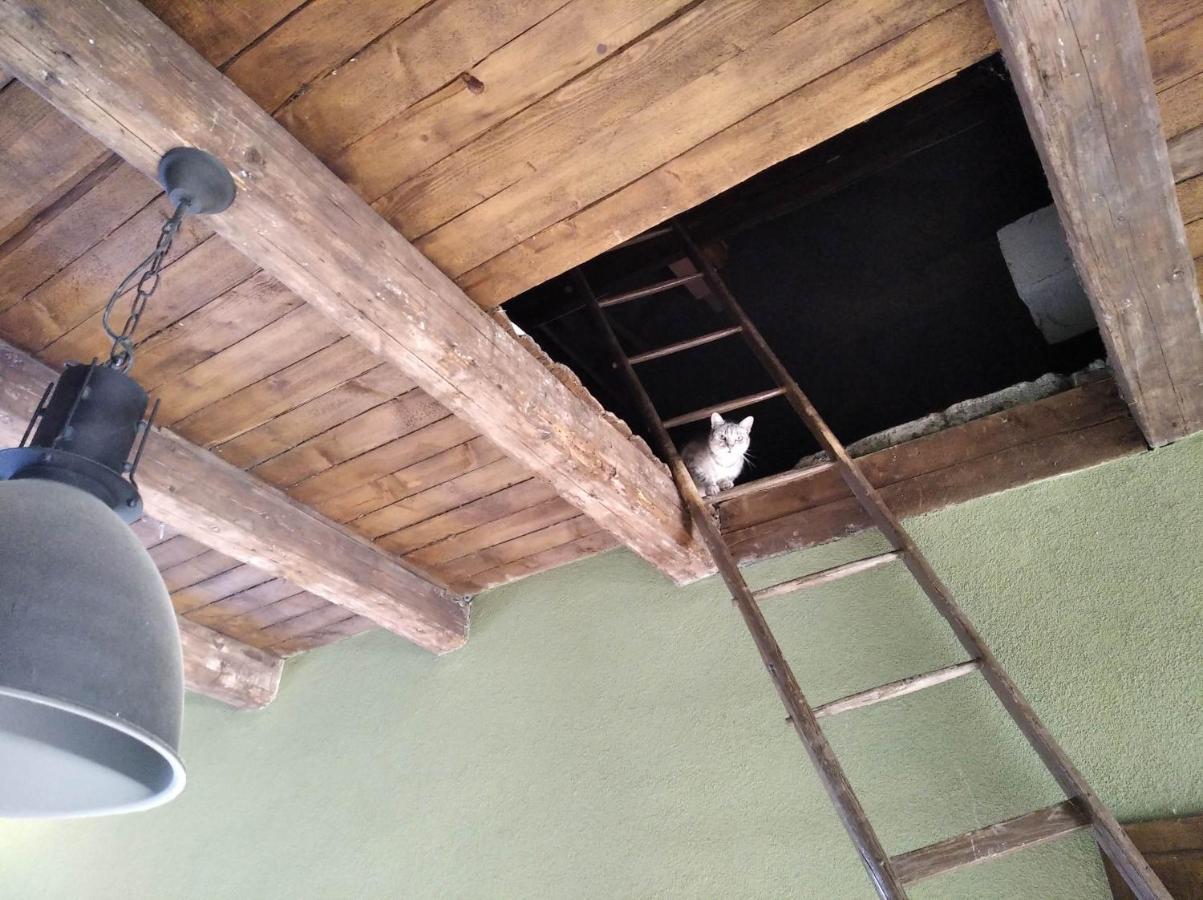 Ubytovani U Malinkovicu Břeclav Exterior foto